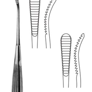 AAI-SIBR1