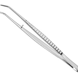 AAI-DICF11