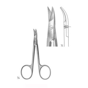 AAI-SIWPS11