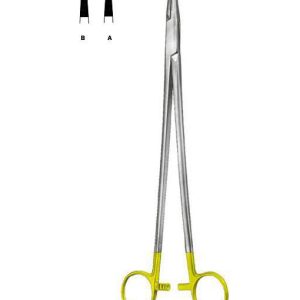AAI-SITCS12