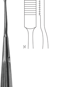 AAI-SIBR3